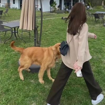 名士殉情记