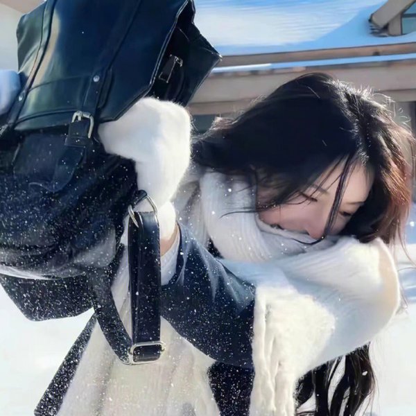 风尘双侠